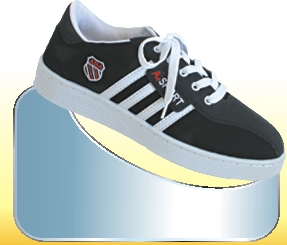 Giầy vải Asia 4 dọc